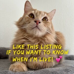 Like this if you want to be notified when I’m live